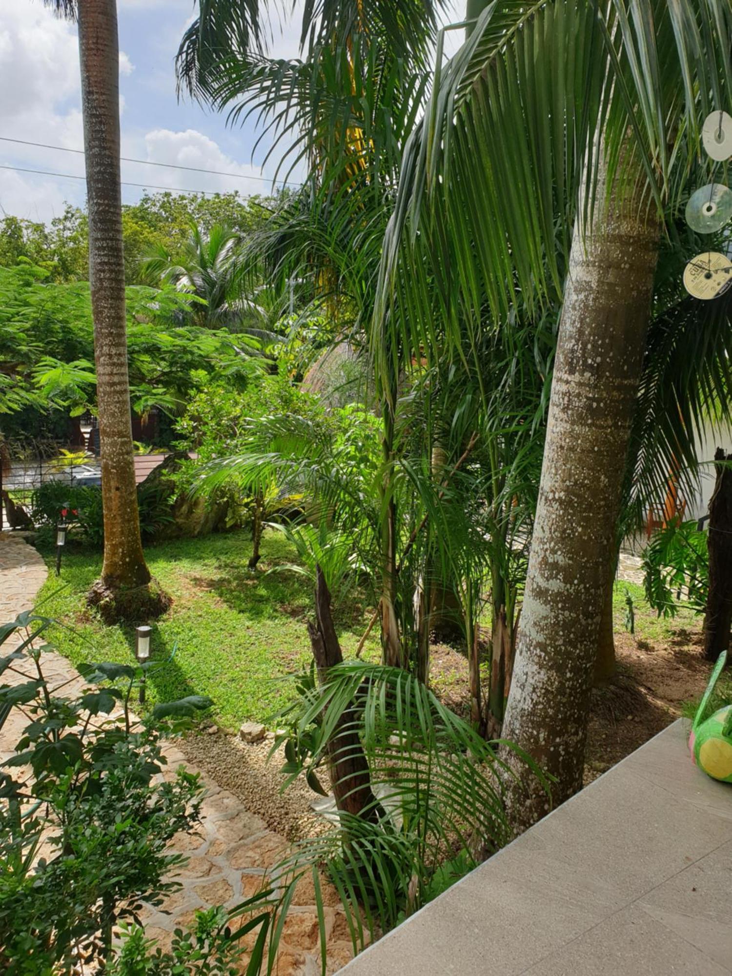 Camino Del Alma Apartments Bacalar Habitación foto